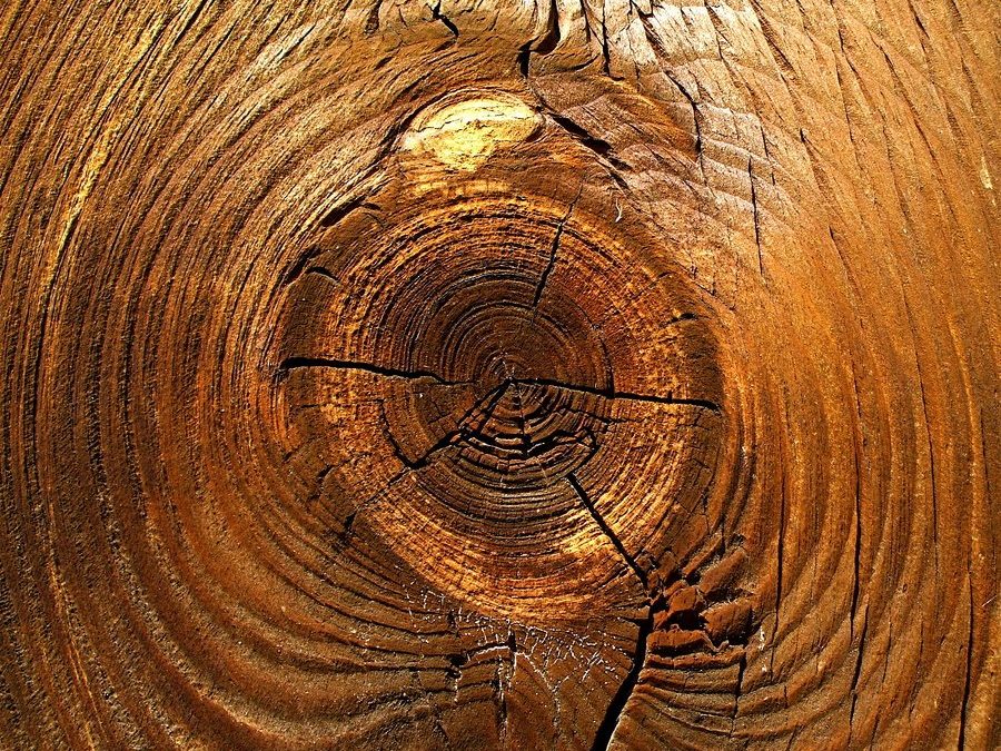 Przemysł drzewno-meblarski na Warmii i Mazurach – perspektywy inteligentnej specjalizacji